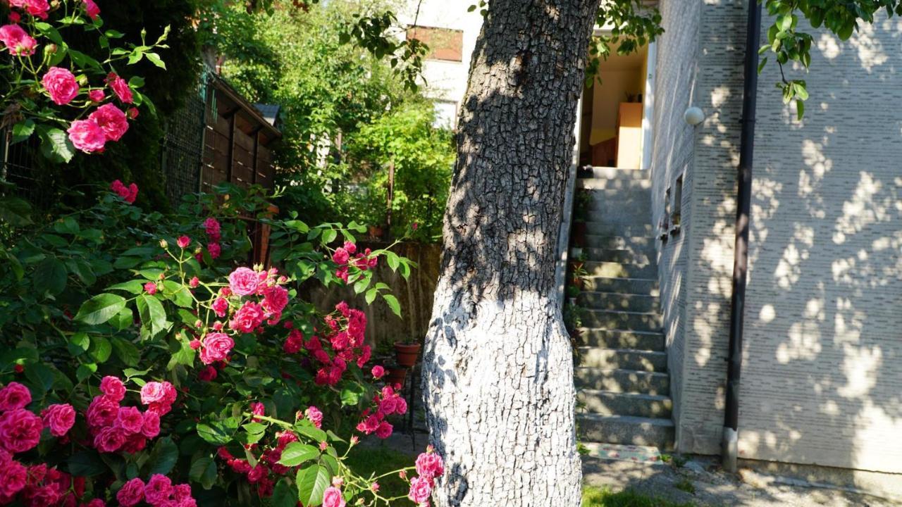 Hedgehog'S Home - Jezeva Kucica Free Parking SJJ Exterior foto